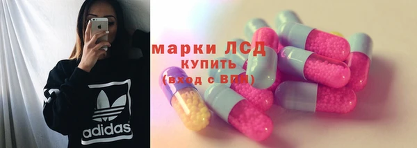 таблы Бородино