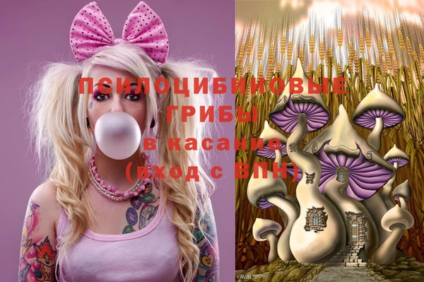 шишки Верхний Тагил