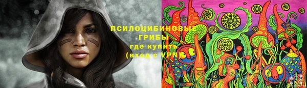 эйфоретик Бронницы