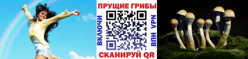 закладка  Вилюйск  Галлюциногенные грибы Magic Shrooms 